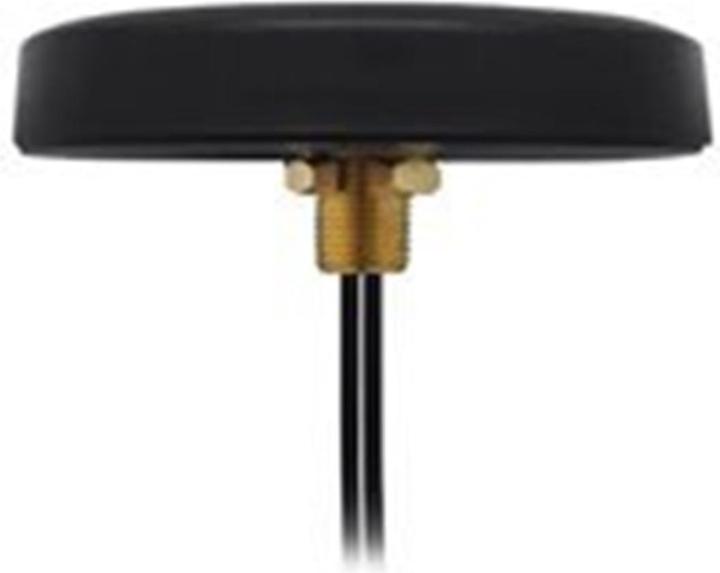 Produktbild Teltonika Antenne - Mobiltelefon - 2,5 dBi (Main) (3G, GSM)