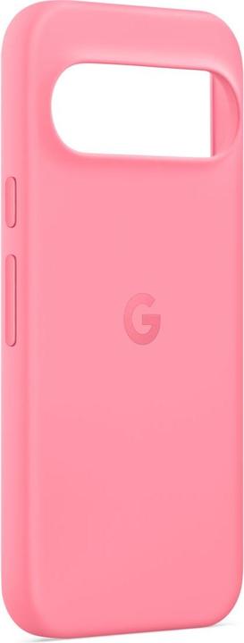 Immagine prodotto Google Case (Google Pixel 9)
