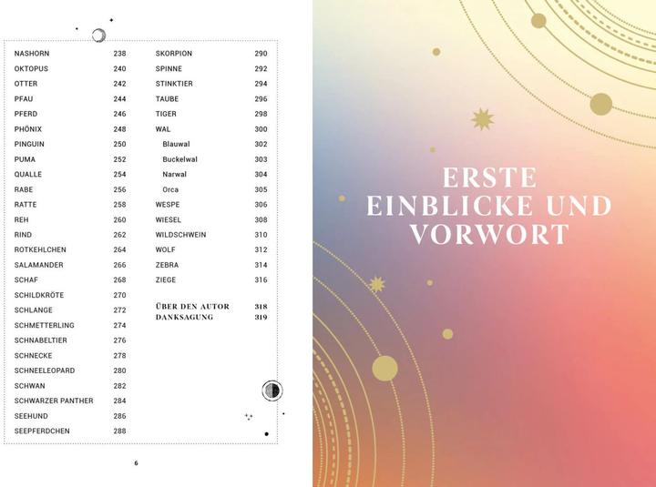 Image du produit Praxisbuch Schamanische Krafttiere – Entdecke deine Seelenbegleiter (Allemand, Benjamin Maier, 2022)