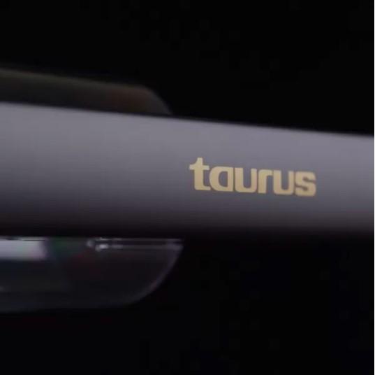 Actual product image Taurus Homeland Endless
