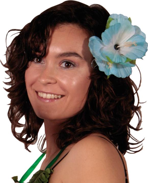 Folat Hawaii-Blumen-Haar-Clip 6 assort - 1 Stück