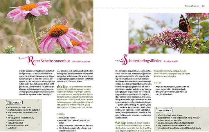 Actual product image Mein Schmetterlingsgarten (German, Elke Schwarzer, 2022)