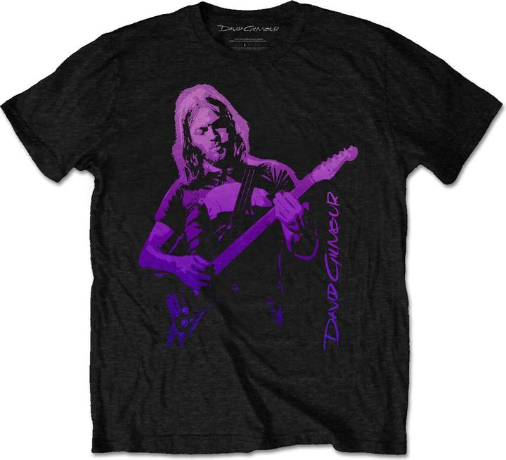 David Gilmour Pig Gradient