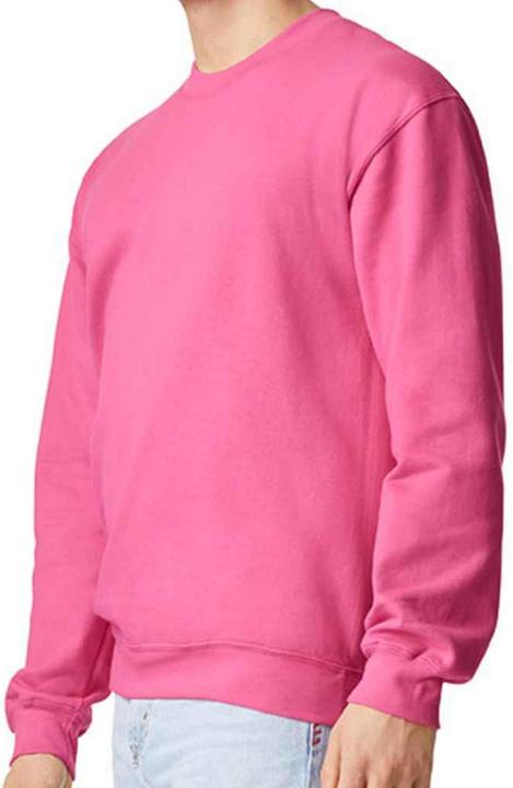 Produktbild Gildan Softstyle Sweatshirt (3XL)