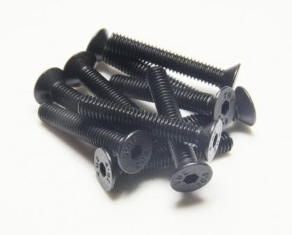 Produktbild EP M5x25 Senkkopfschrauben (10 Schrauben pro Stück)