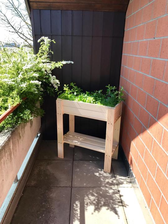 Image du produit DIY-Wood Robuste