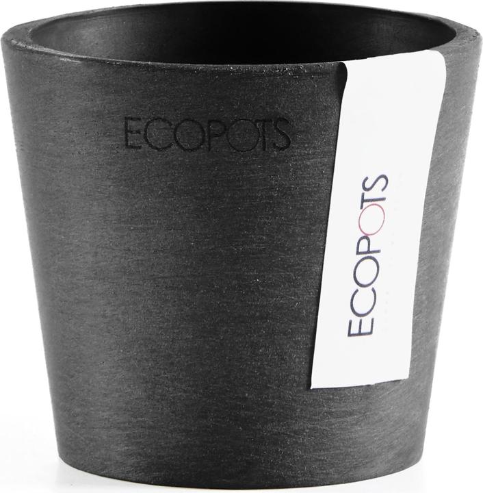 Actual product image Ecopots Amsterdam Mini (8 cm)