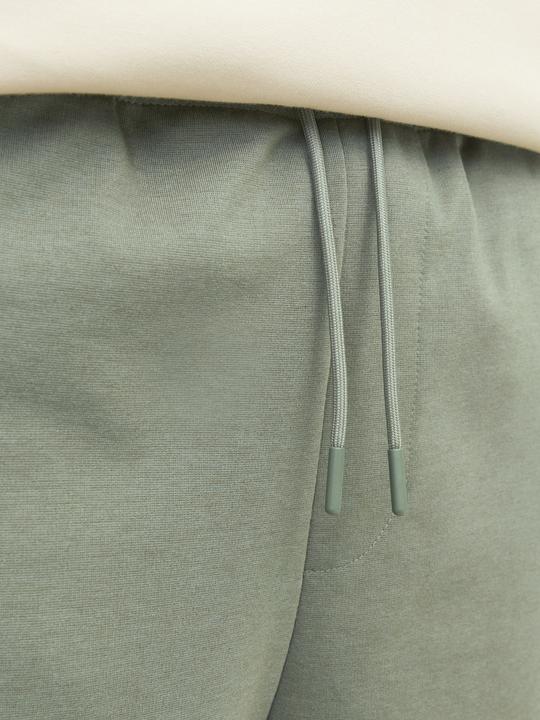 Produktbild Jack & Jones Jpstgordon Jjcloud Sweat Shorts Mni (104)