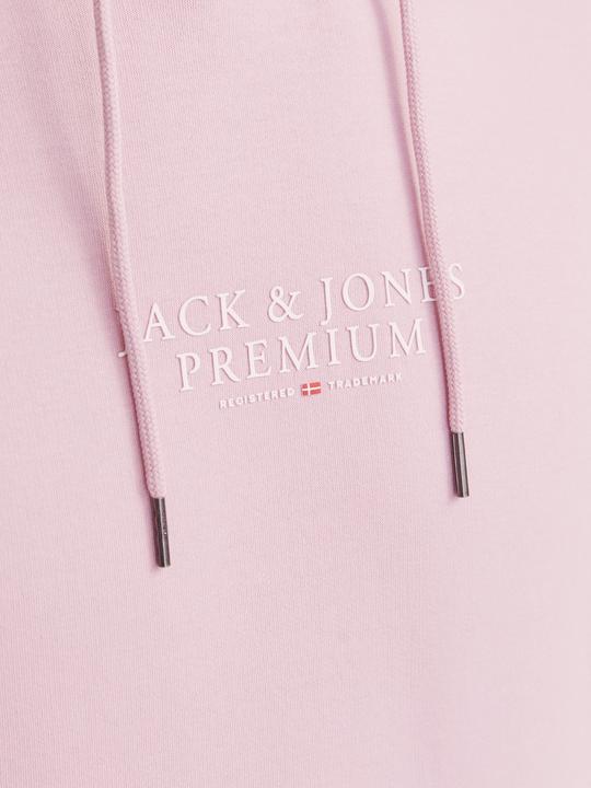 Image du produit Jack & Jones Jprbluarchie Sweat Hood Noos (L)