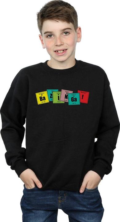 Immagine prodotto Dam Bazinga Elements Felpa Ragazzi (116)