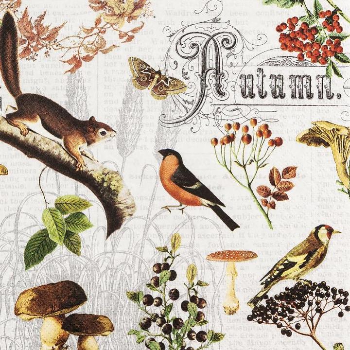 Image du produit Home Fashion Herbst Collage (20 x, 33 x 33 cm)