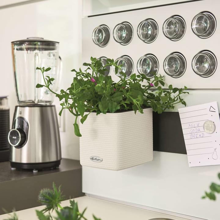 Produktbild Lechuza Green Wall Home Kit (15 cm)