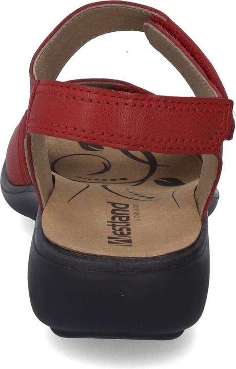 Actual product image Westland 16779-201 (43)