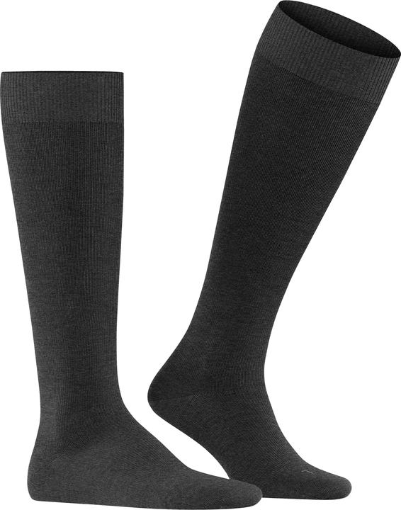 Actual product image Falke Energizing Wool Men Knee-high Socks (43 - 44)