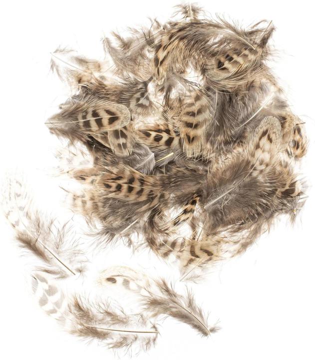 Actual product image Glorex Feathers chicken 5-12 cm, 10g, Brown