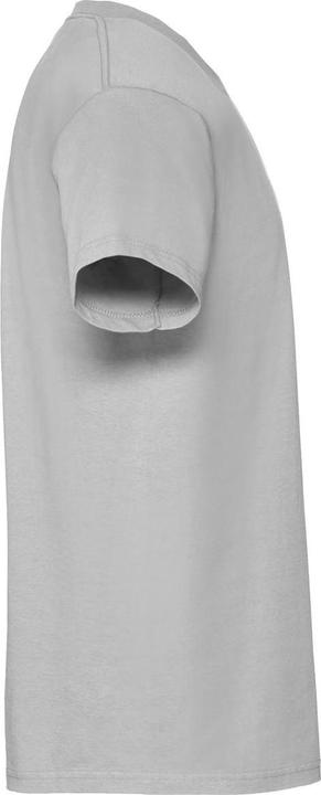Actual product image Fruit of the Loom Mens Iconic Premium Ringspun Cotton T-Shirt (XXL)