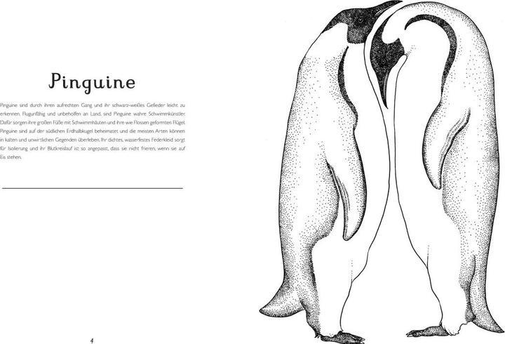 Produktbild Das Museum der Tiere. Mein Malbuch