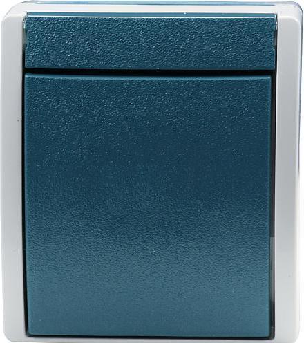 Actual product image Busch-Jaeger toggle