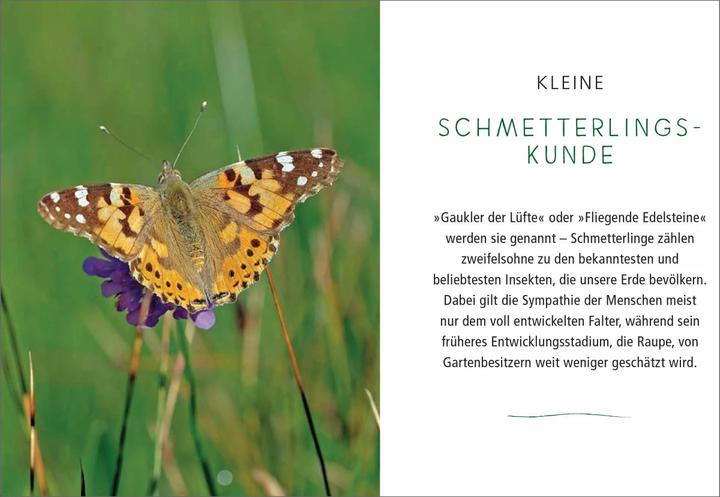 Immagine prodotto Ein Gartenparadies für Schmetterlinge. Die schönsten Blumen, Stauden, Kräuter und Sträucher für (Tedesco, Ursula Kopp, 2020)