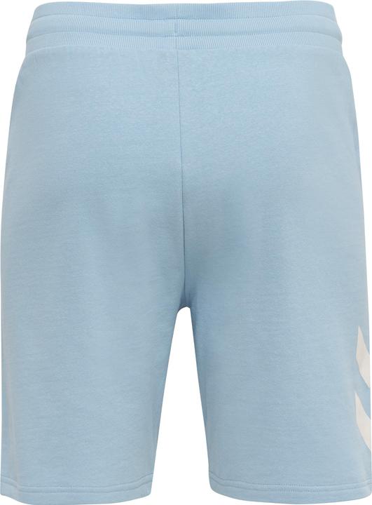 Actual product image hummel Legacy Shorts (L)