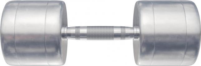 Image du produit Gorilla Sports Haltères courts en chrome (2 x 15 kg)