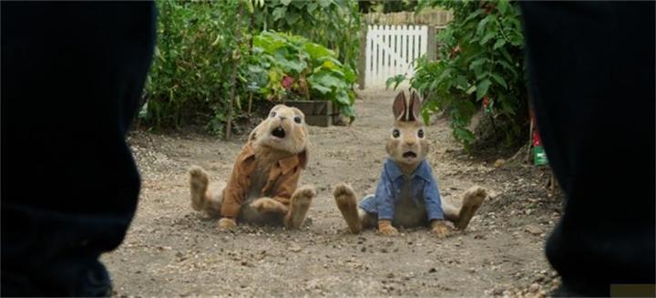 Actual product image Sony Peter Rabbit 1 & 2 (Blu-ray, German)
