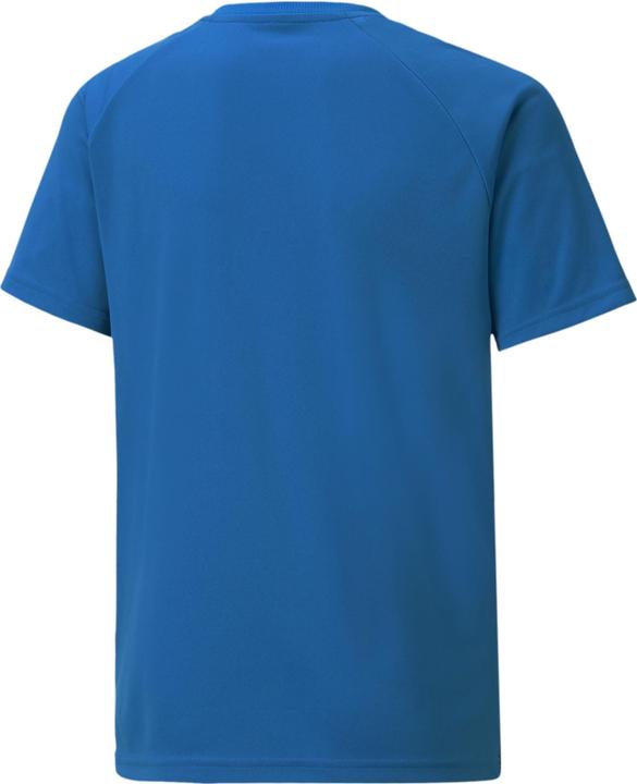 Actual product image Puma teamLIGA Striped Jersey Jr-704927 (152)