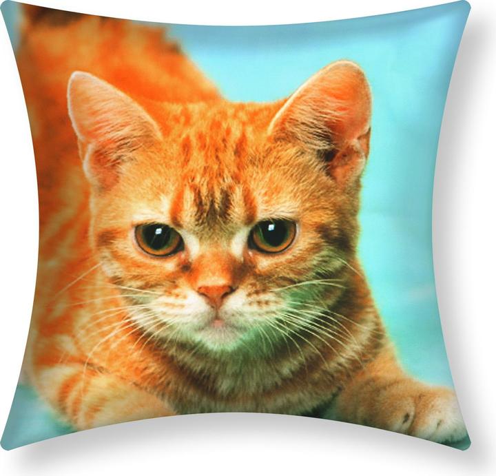 Image du produit Avizar 2 Stk. Kissenbezüge Gelbe Katze (40 x 40 cm)