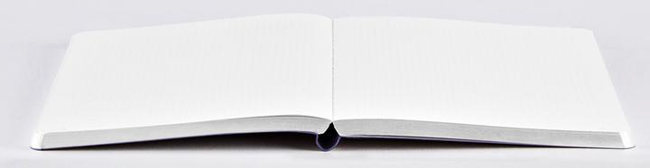 Immagine prodotto Nuuna Taccuino (13,5 x 20,3 cm, Punteggiato, Copertina rigida)
