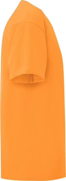 Actual product image Fruit of the Loom Childrens/Kids Iconic T-Shirt (164)