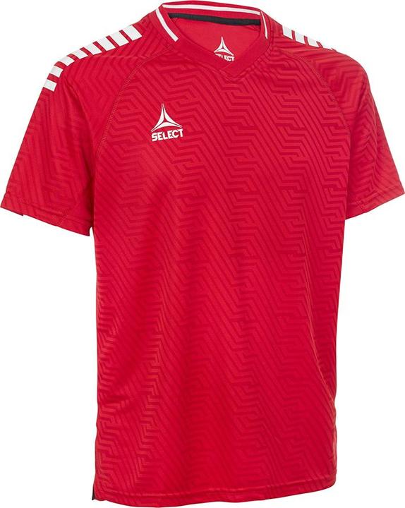 Select Monaco Trikot v24
