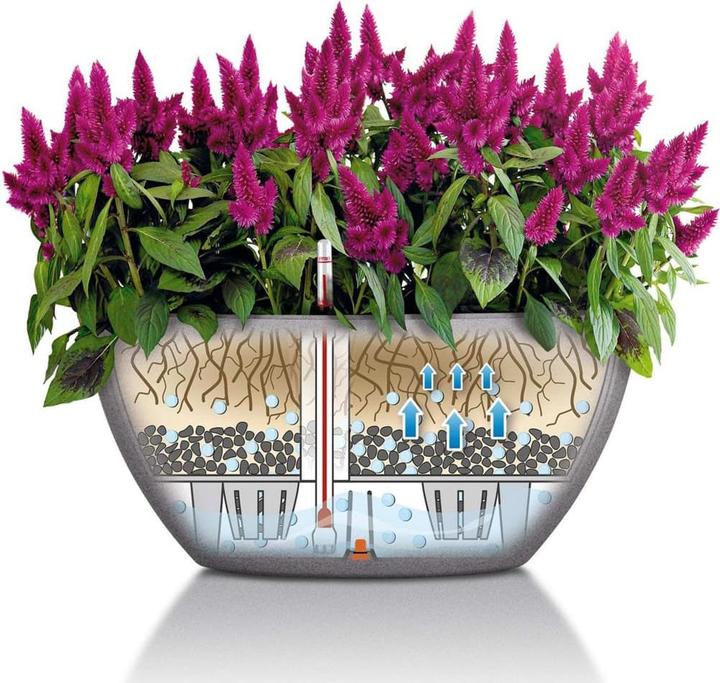 Image du produit Lechuza Cubeto Color (30 cm)