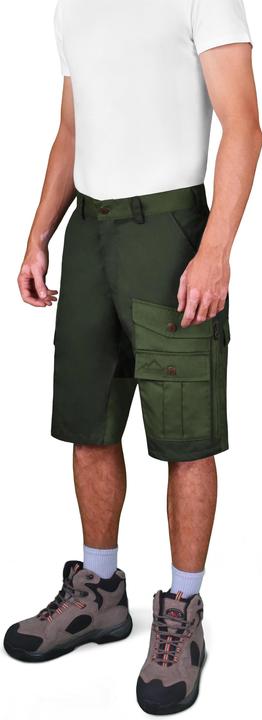 Vert foncé, olive