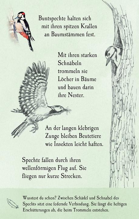 Produktbild Natur-Entdecker-Karten: Unsere heimisch