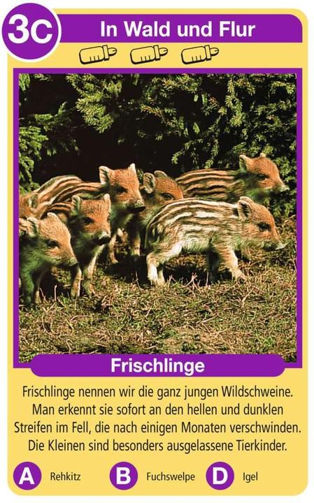Productafbeelding Ravensburger Dierenkinderen (Duits)