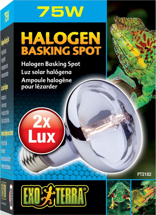 Actual product image Exo Terra Sun Glo Daylight Halogen Lamp 75W (UVB, UVA)