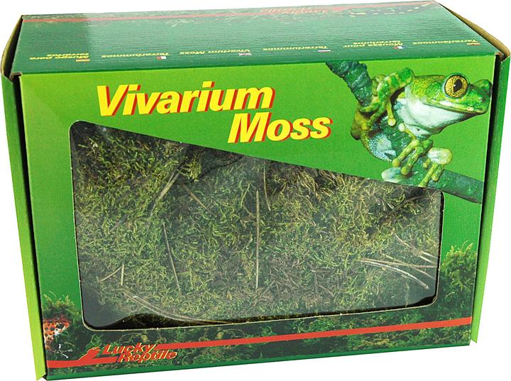 Produktbild Lucky Reptile Vivarium Moos