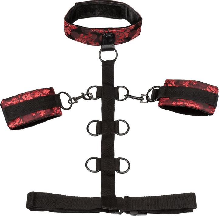 Produktbild CalExotics Scandal Collar Body Restraint