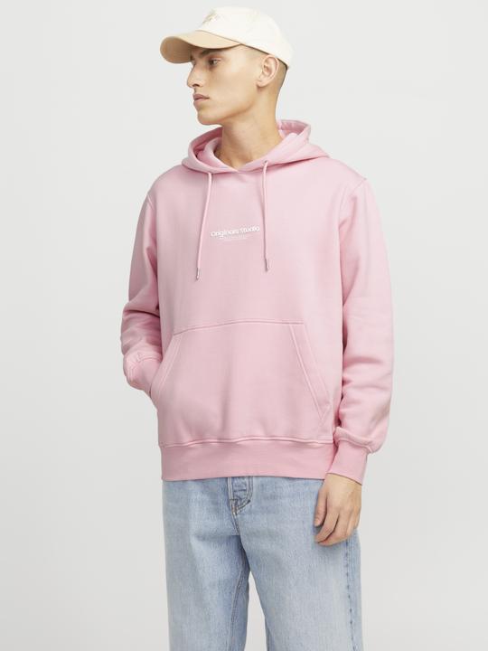 Immagine prodotto Jack & Jones Jorvesterbro Sweat Hood Noos (XXL)