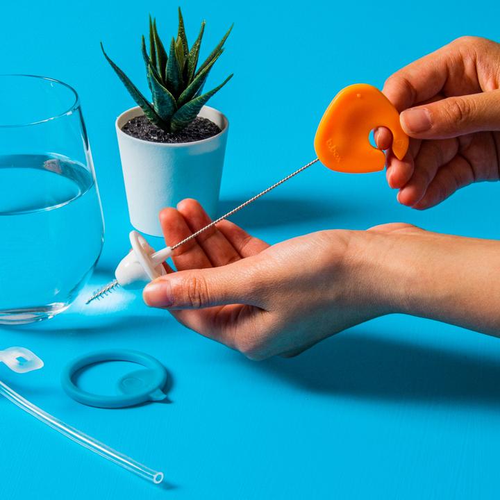 Actual product image B.Box 5-piece cleaning brush set