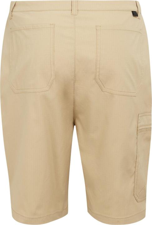 Actual product image Regatta Mens Dalry Multi Pocket Shorts (34)