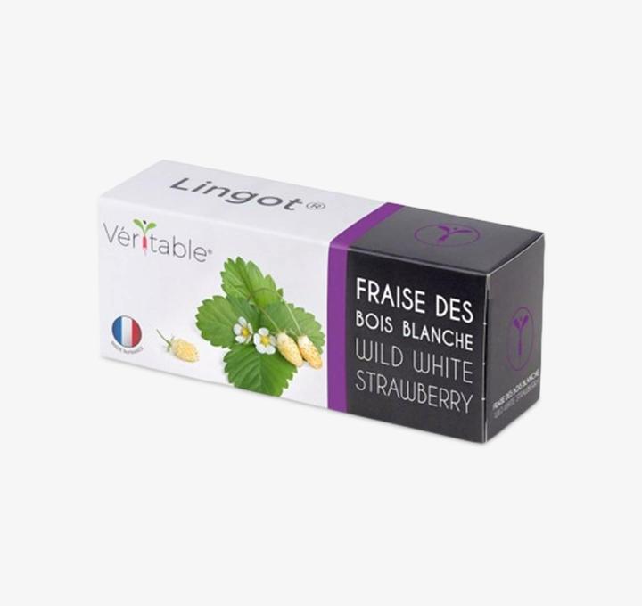 Image du produit Véritable Lingot fraise des bois blanche BIO (Graines de fruits)