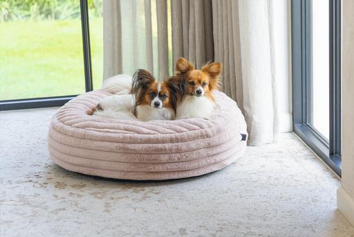 Actual product image Designed by Lotte Reza reclining cushion (Dog)