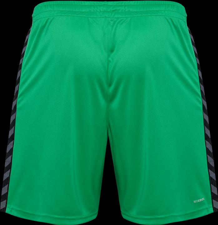 Image du produit hummel Hmlauthentic Pl Shorts (XXL)
