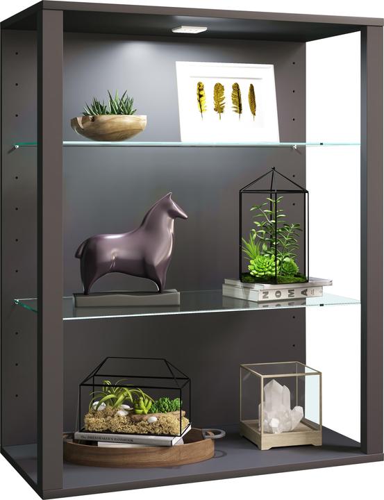 Produktbild VCM Holz Glas Stand Vitrine Glasol LW (90 x 70 x 35 cm)