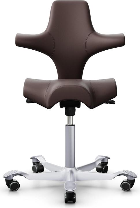 HAG Capisco 8106