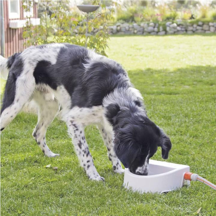 Actual product image Trixie Automatic outdoor dog bowls (1.50 l)