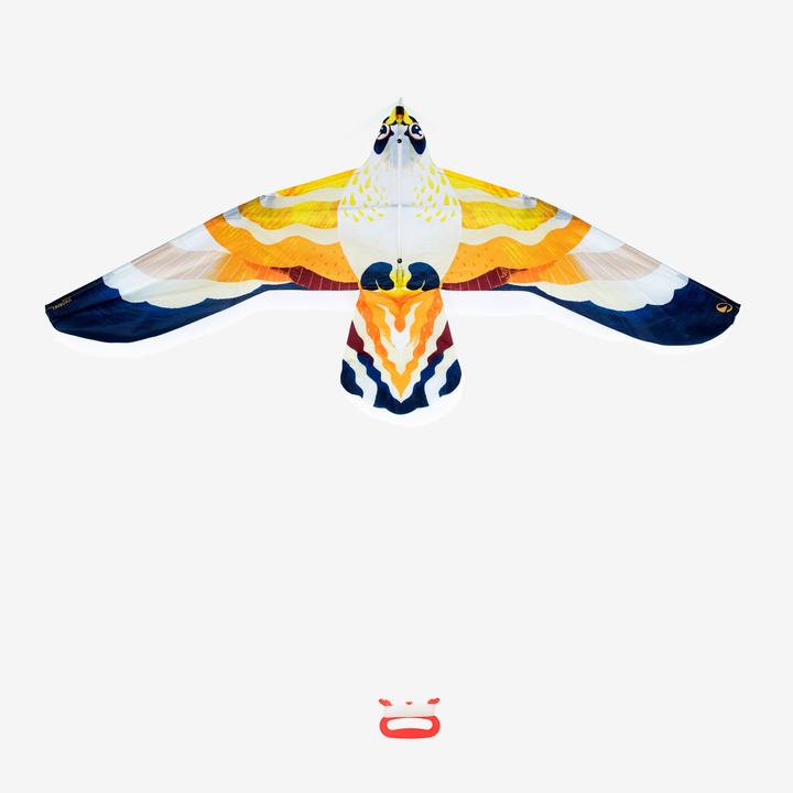 Tribord Flugdrachen statisch Kinder - MFK150 Vogel