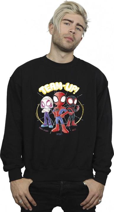 Produktbild Spidey And His Amazing Friends Sketch Sweatshirt (L)