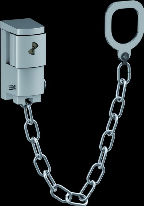 Actual product image Olympia Door chain TK 20
